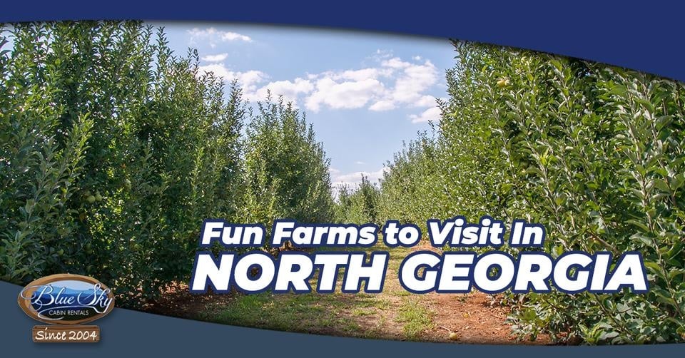 Fun Farms to Visit In North Blue Sky Cabin Rentals
